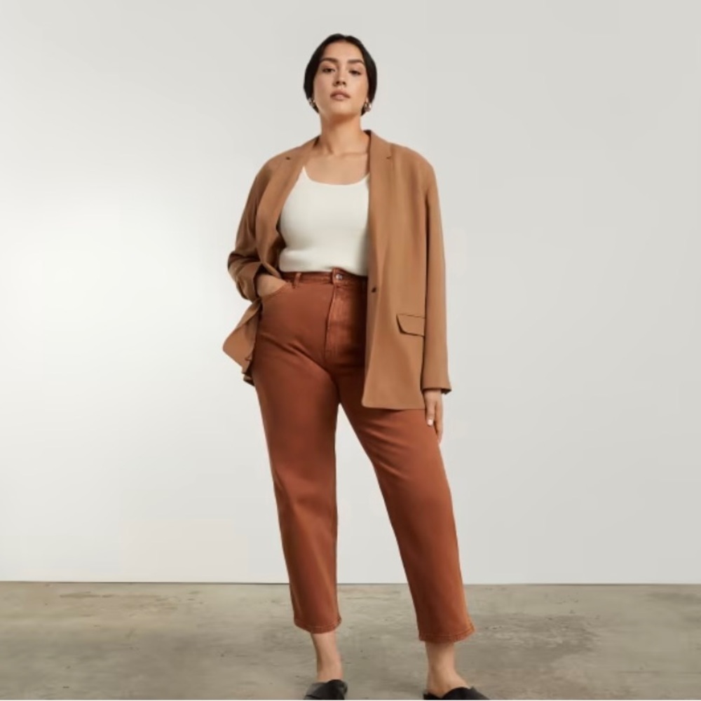 Everlane The Way High Curvy Jean 31
